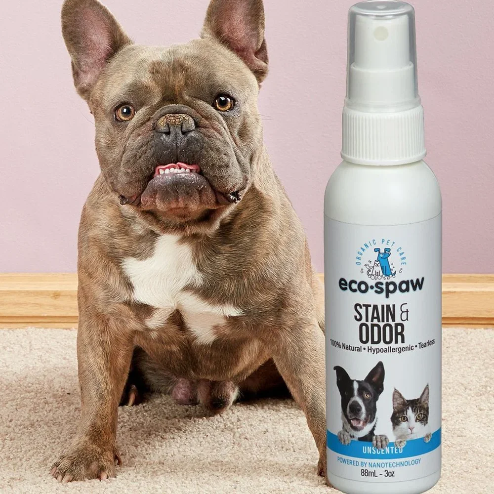 PET STAIN & ODOR SPRAY Safe on fabrics and pets!